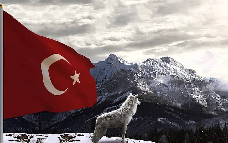 Hizmetler banner